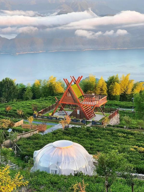 เต็นท์ฟองใส 6 ม. บ้านโดมโพลีคาร์บอเนตกันน้ำสำหรับรับประทานอาหารหรืองานแต่งงาน
